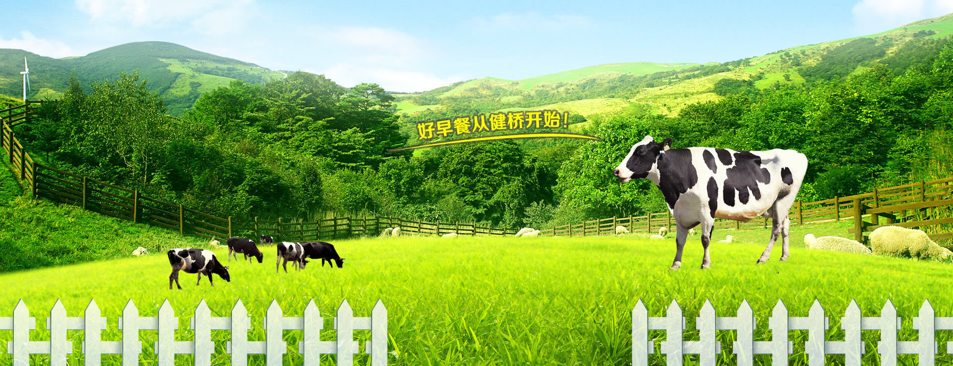 健橋banner001